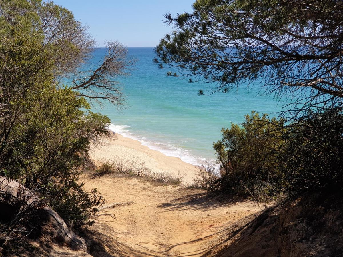 Albufeira Falesia Beach Apartment מראה חיצוני תמונה